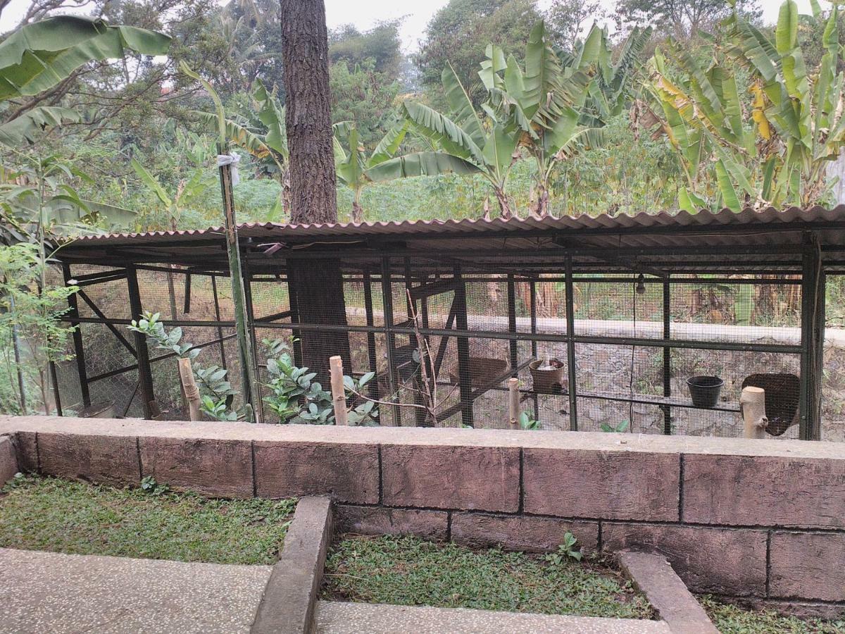 Nabila Syar'I Guest House Padalarang Buitenkant foto