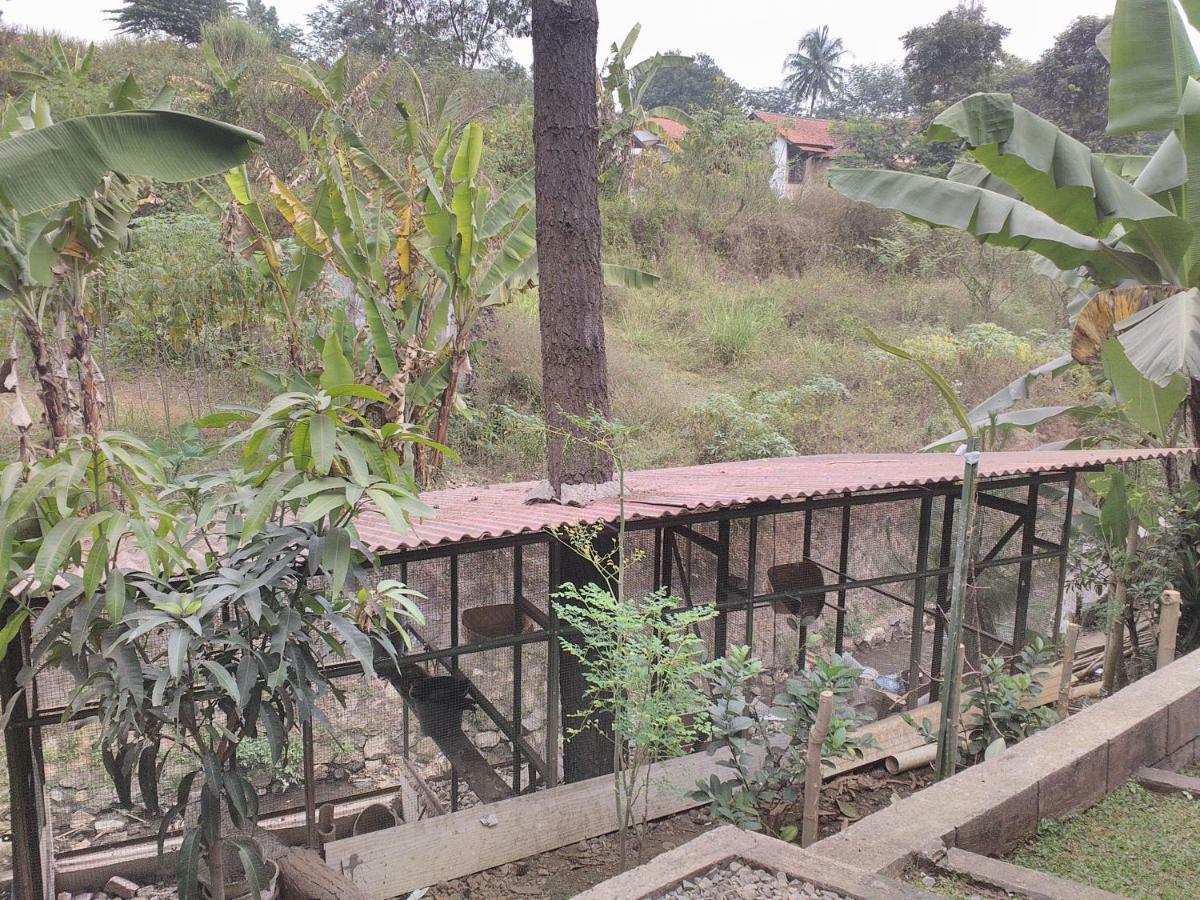 Nabila Syar'I Guest House Padalarang Buitenkant foto